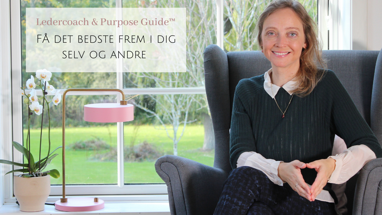 DIDDE WEBSITE copy 8