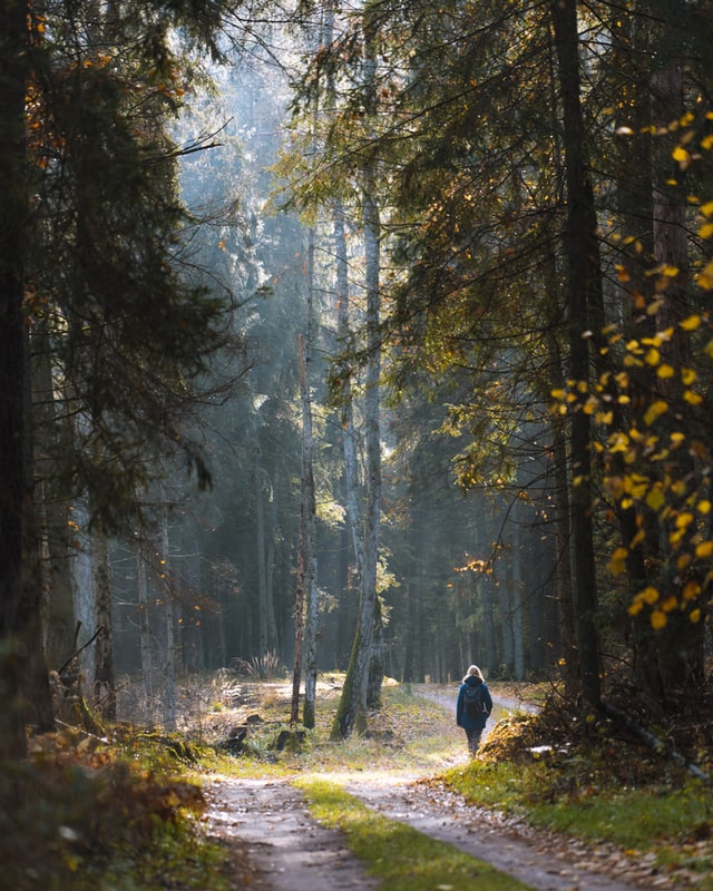 valdemaras-d-K5EZmlQam80-unsplash