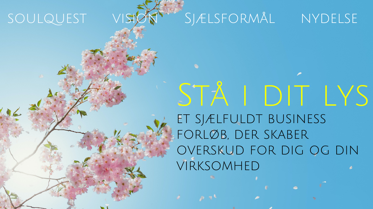 DIDDE WEBSITE