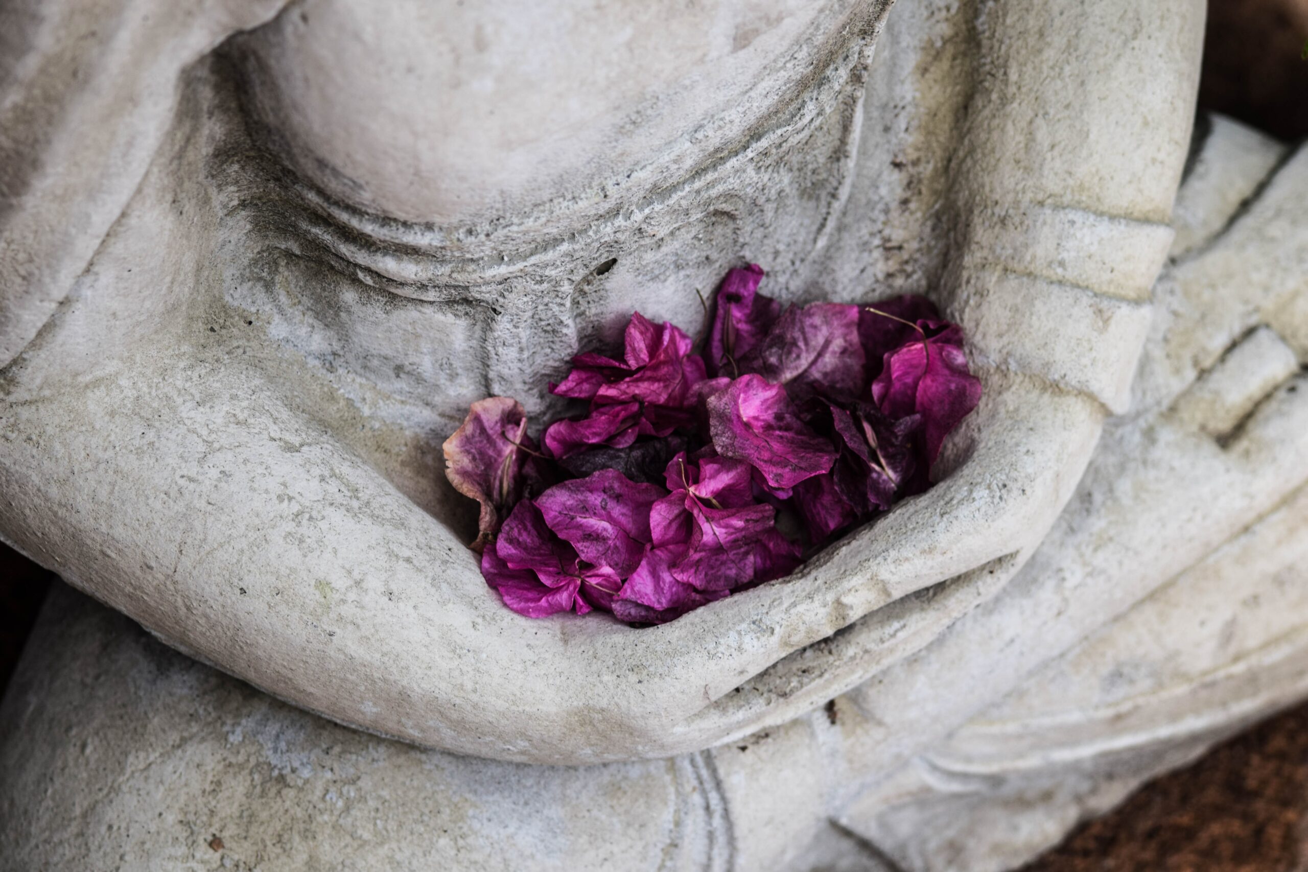 chris-ensey-16QrjudiZnE-unsplash